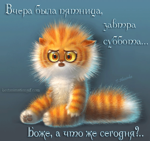 Открытка Открытки на субботу - Забавная открытка с рыжим котенком. | Красивая открытка #131