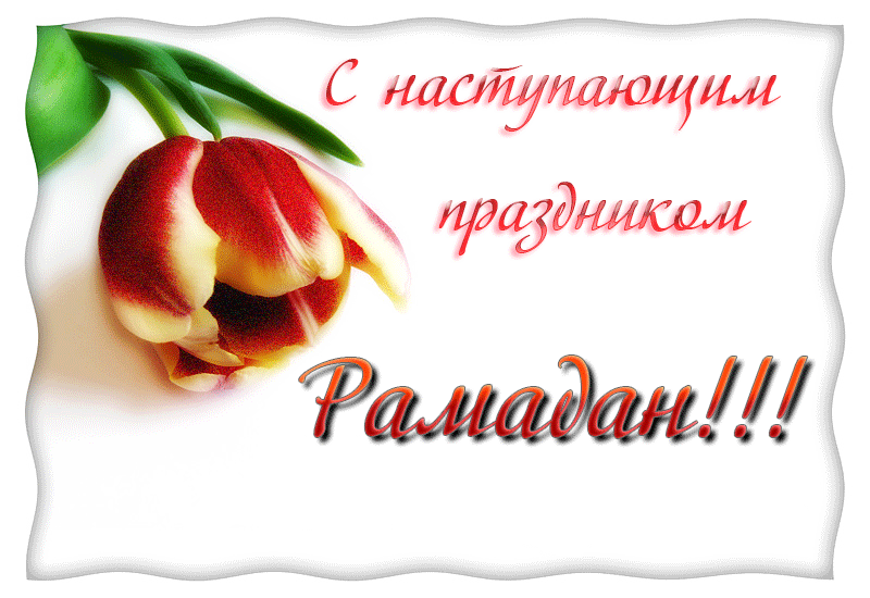 Открытка Рамадан - Открытка с красным тюльпаном и надписью | Красивая открытка #71