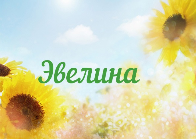 Открытка открытки с именем Эвелина - Открытка с подсолнухами на голубом фоне | Красивая открытка #24