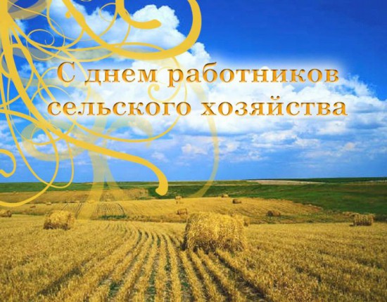 Открытка Открытки на день работников сельского хозяйства и перерабатывающей промышленности  - Злаковое поле, стога сена, голубое небо. | Красивая открытка #32