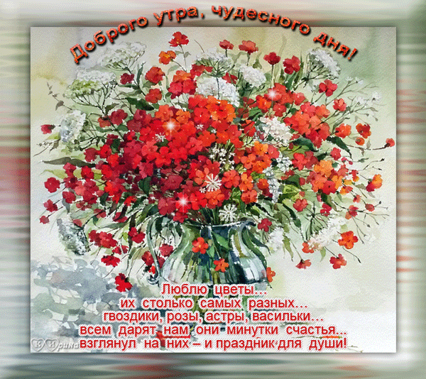 Открытка Доброе утро - Букет из астр, гвоздик и роз: Красивая открытка | Красивая открытка #201