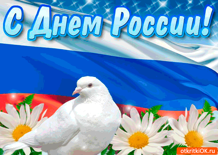 Открытка Открытки с днем России - Белый голубь и ромашки на фоне российского флага  открытка | Красивая открытка #1