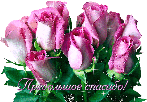 Открытка открытки с благодарностью  - Розовые розы: красивые цветы для открытки | Красивая открытка #149