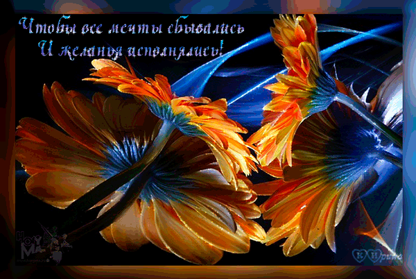 Открытка Исполнения желаний - Открытка с яркими цветами: оранжевые и синие оттенки | Красивая открытка #38