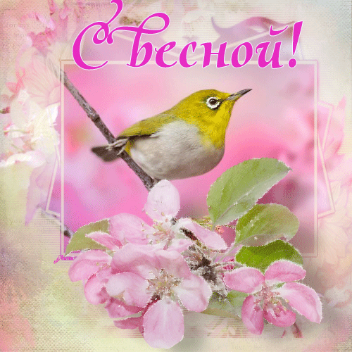 Открытка Открытки весенняя пора - Открытка с цветущей вишней и птичкой | Красивая открытка #74
