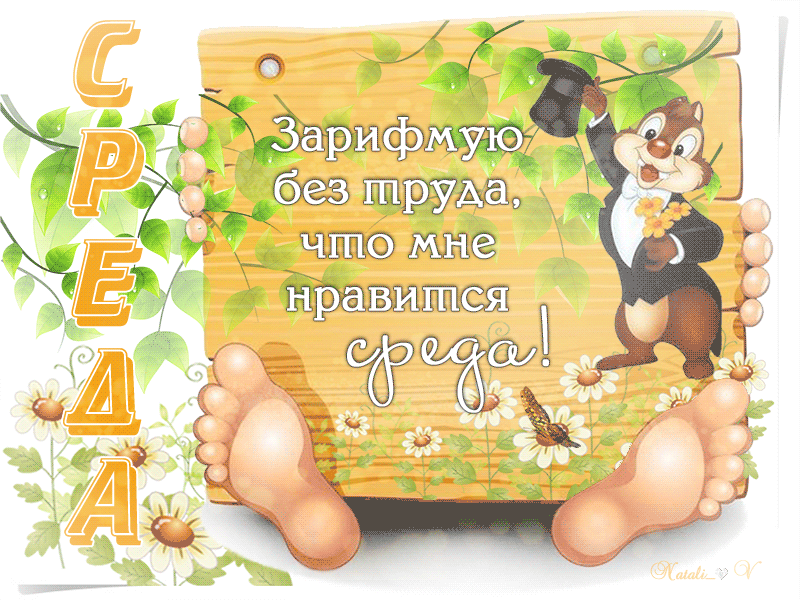 Открытка Открытки на среду - Открытка с белкой и цветами | Красивая открытка #81