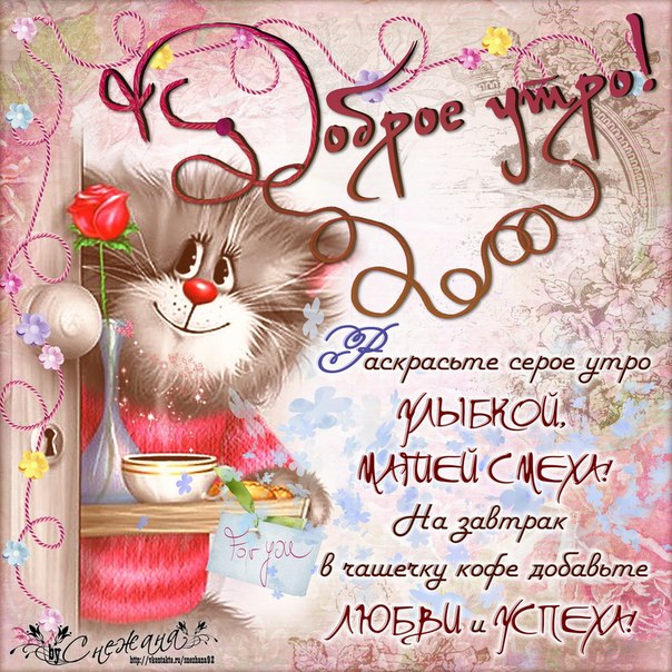 Открытка открытки с добрым утром - Утро с котиком: Открытка с кофе и цветами | Красивая открытка #17