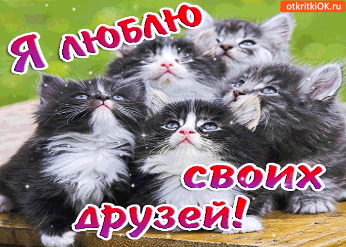 Открытка Люблю друзей - Открытка с котятами: Милые котята для друзей! | Красивая открытка #10