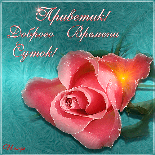 Открытка Доброго времени суток - Розовая роза на голубом фоне | Красивая открытка #34