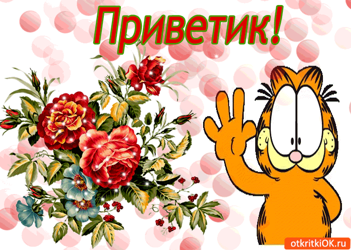 Открытка Привет - Открытка с Гарфилдом и цветами | Красивая открытка #138