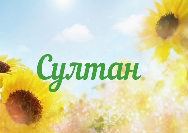 Открытка Открытки с именем Султан - Открытка с подсолнухами: солнечное настроение | Красивая открытка #27