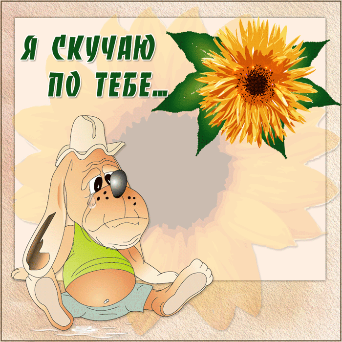 Открытка Скучаю - Открытка с щенком и подсолнухом | Красивая открытка #256