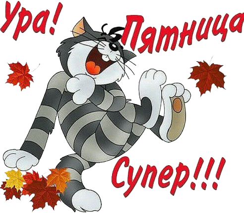 Открытка Открытки на пятницу - Рыжий кот с осенними листьями  открытка с котиком | Красивая открытка #17