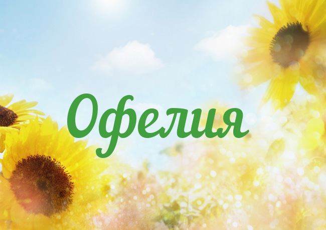 Открытка открытки с именем Офелия - Открытка с подсолнухами на голубом фоне | Красивая открытка #2