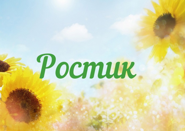 Открытка Открытки с именем Ростислав  - Открытка с подсолнухами на фоне голубого неба | Красивая открытка #9