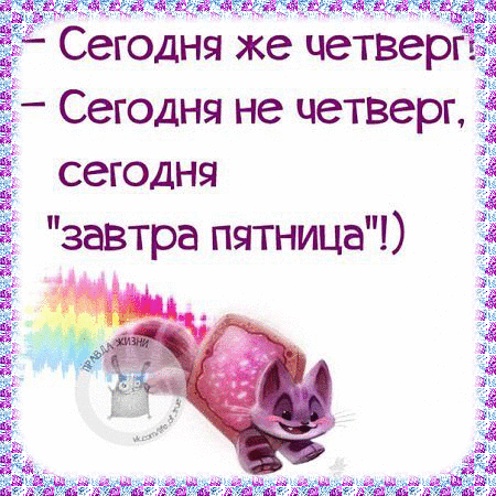Открытка Открытки на четверг - Милый котенок с тортом - праздничная открытка | Красивая открытка #140