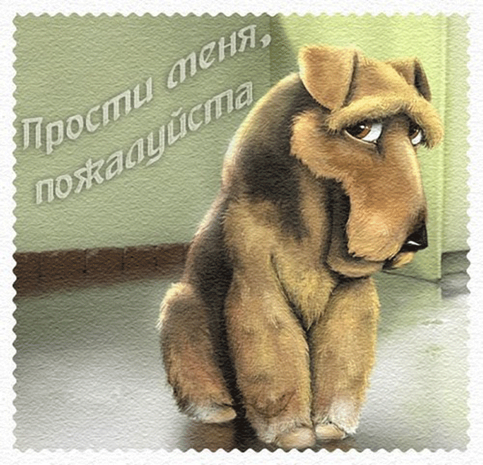Открытка открытки с извинениями  - Открытка с грустным щенком: забавная картинка | Красивая открытка #43