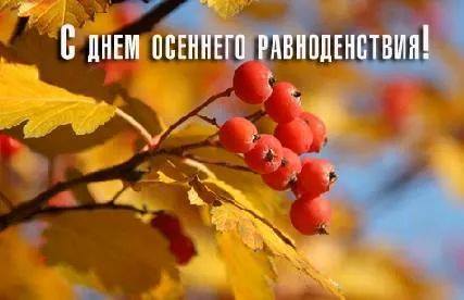 Открытка Открытки с днем осеннего равноденствия  - Рябина на фоне осенней листвы  открытка с заботой | Красивая открытка #9