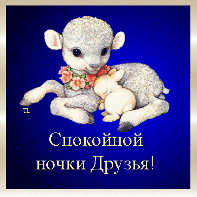 Открытка открытки с пожеланиями спокойной ночи  - Открытка с ягнятами: Сладких снов и тепла | Красивая открытка #16