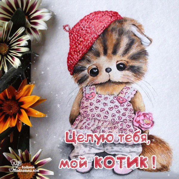 Открытка Открытки целую - Открытка с котиком: "Целую тебя, мой котик!" | Красивая открытка #142