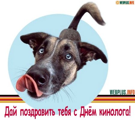 Открытка Открытки с днем кинолога - Открытка с щенком: С Днем кинолога! | Красивая открытка #27