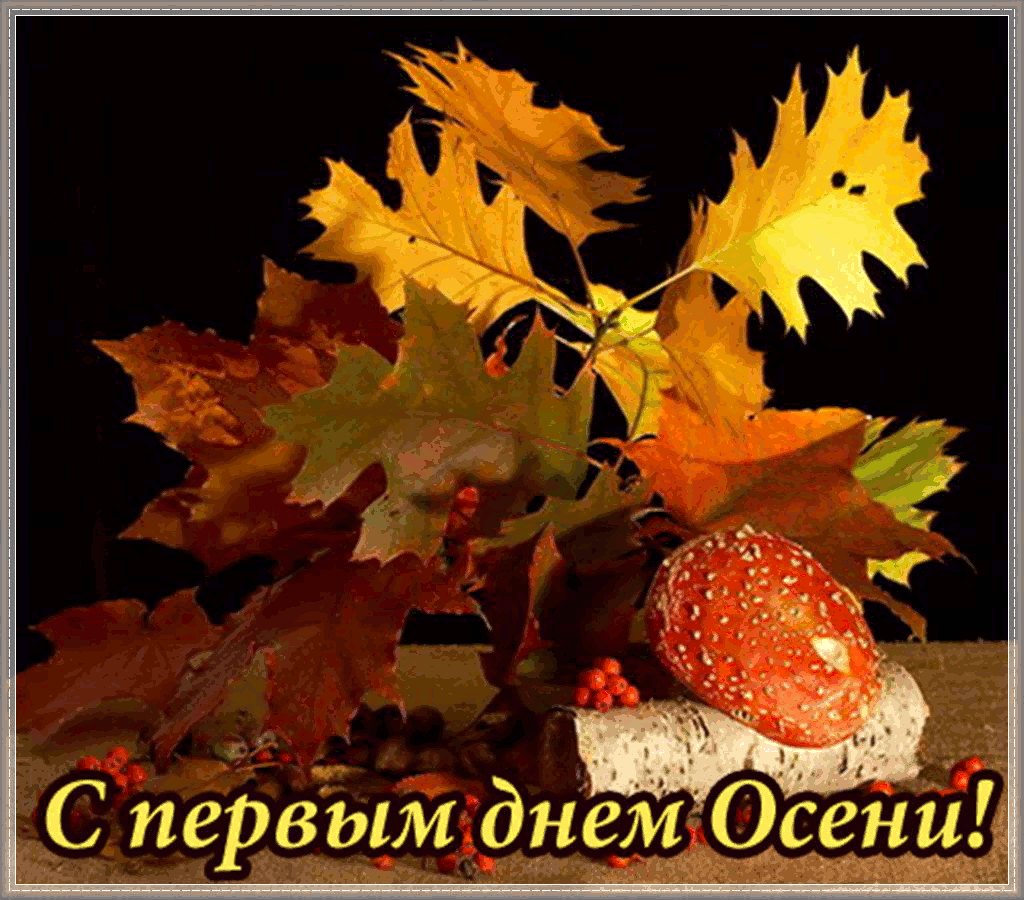 Открытка Первый день осени - С Днём Осени: Красные листья и ягоды на ветке | Красивая открытка #106