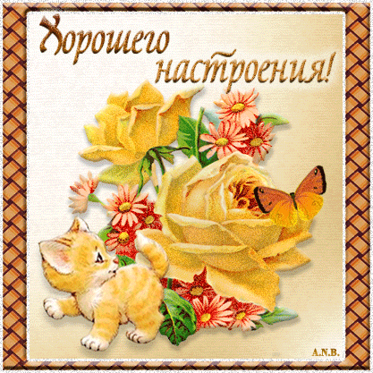 Открытка Открытки хорошего настроения - Открытка с котенком и цветами | Красивая открытка #98