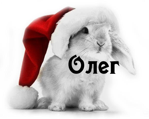 Открытка Открытки с именем Олег  - Открытка с кроликом в колпаке | Красивая открытка #207