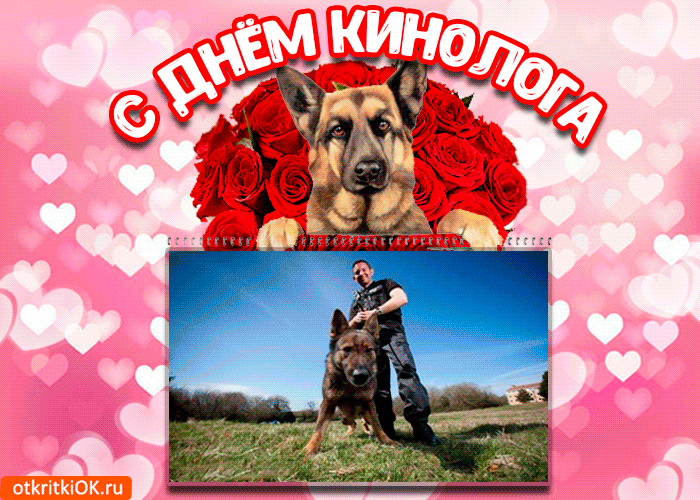 Открытка Открытки с днем кинолога - Немецкая овчарка с букетом роз: открытка с собакой | Красивая открытка #14