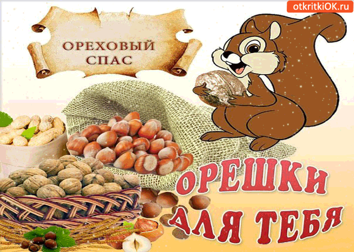 Открытка Открытки с Ореховым Спасом - Открытка с белкой и орехами  Праздничная открытка | Красивая открытка #64