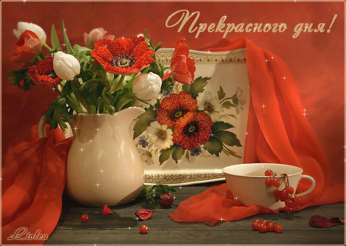 Открытка Открытки хорошего дня - Открытка с красными маками и белыми пионами | Красивая открытка #44