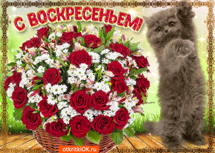 Открытка Выходные - Открытка с кошками и розами | Красивая открытка #14