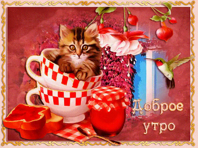 Открытка открытки с добрым утром - Котенок в чашке: открытка с утром и ягодами | Красивая открытка #110