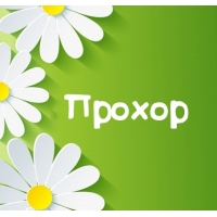 Открытка Открытки с именем Прохор  - Открытка с ромашками на зеленом фоне | Красивая открытка #7