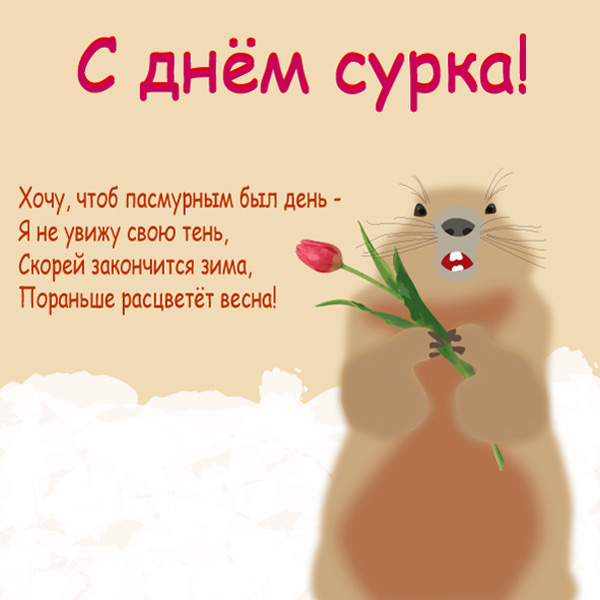 Открытка Открытки с днем сурка - Сурок с цветами: Привет весна! Открытка | Красивая открытка #38