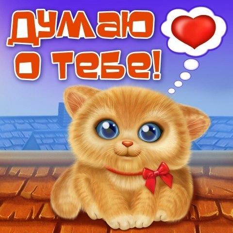 Открытка Открытки думаю о тебе - Открытка с рыжим котенком на крыше | Красивая открытка #21