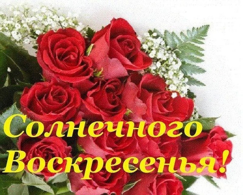 Открытка Открытки на воскресенье - Букет роз и белых цветов. Праздничная открытка. | Красивая открытка #56