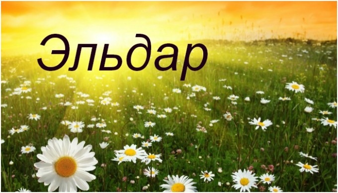 Открытка Открытки с именем Эльдар - Поле с ромашками. Открытка с цветами. | Красивая открытка #23