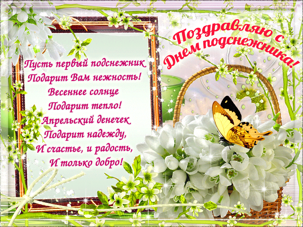 Открытка С днём подснежника - Весенняя открытка с цветами и бабочкой — Поздравления! | Красивая открытка #65
