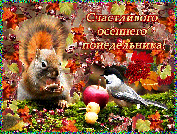 Открытка Открытки осенняя пора - Белка и птица на фоне осенних листьев. Открытка | Красивая открытка #48