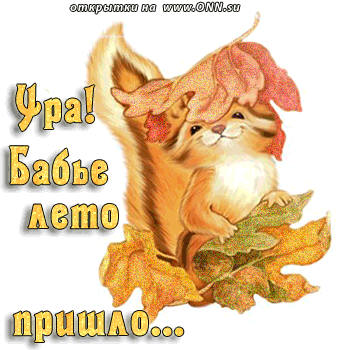 Открытка Открытки на Бабье Лето - Белка с осенними листьями - открытка | Красивая открытка #5