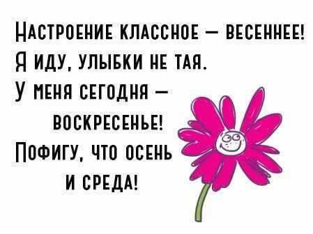 Открытка Открытки на среду - Открытка с цветком: веселый цветок с улыбкой | Красивая открытка #228