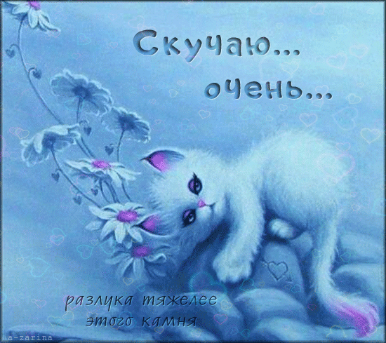 Открытка Скучаю - Открытка с котенком и цветами | Красивая открытка #173