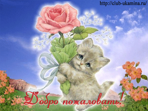 Открытка Добро пожаловать - Котенок с цветами: открытка с котенком и розами | Красивая открытка #17