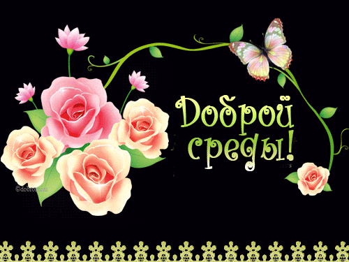 Открытка Среда - Открытка с цветами и надписью «С добрым утром!» | Красивая открытка #33