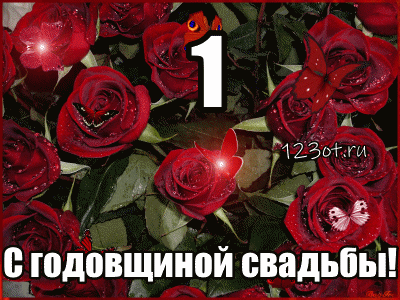 Открытка Открытки на Ситцевую свадьбу 1 год - Открытка с красными розами | Красивая открытка #57