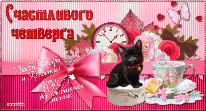 Открытка Открытки на четверг - Открытка с котенком и чаем | Красивая открытка #98