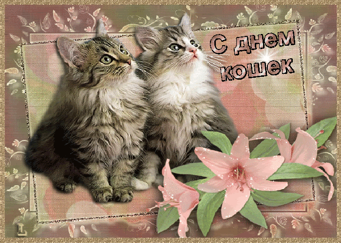 Открытка Открытки с днем кошек - Открытка с котенком и лилиями | Красивая открытка #20