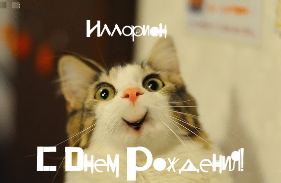 Открытка Открытки с именем Илларион  - С Днём Рождения! Смешная кошка - Открытка | Красивая открытка #7
