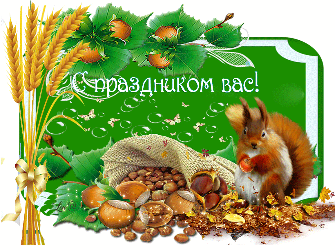 Открытка Ореховый спас. - Открытка с белкой, орехами и колосьями | Красивая открытка #50